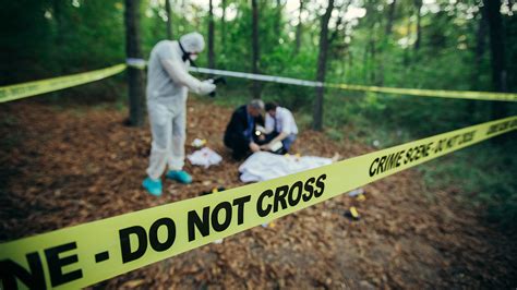 Why Its Ok To Leave Dead Bodies In The Woods And More Inside Secrets