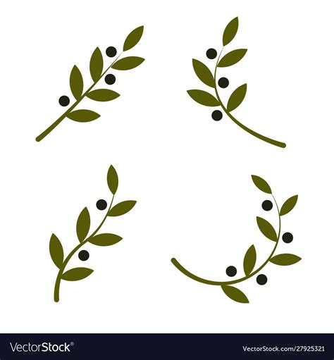 Set Green Olive Branch Logo Olive Oil Royalty Free Vector