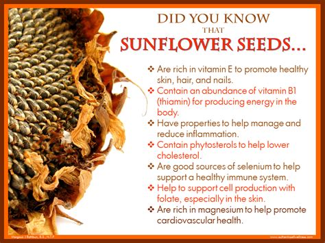 Health Benefits Of Sunflower Seeds Sunflower Seeds Benefits Seeds My