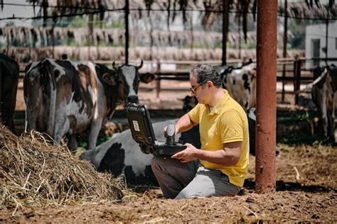 Instant Dairy Feed Analysis For An Efficient Farm Dairy Global