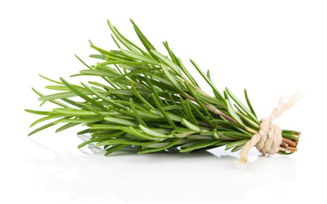 All About Rosemary And Its Benefits True Relaxations