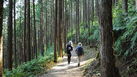 Kumano Kodo Rewarding Hike Far Off Beaten Path In Japan