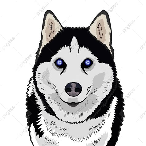 Siberian Dog Siberian Dog Animal Png And Vector With Transparent
