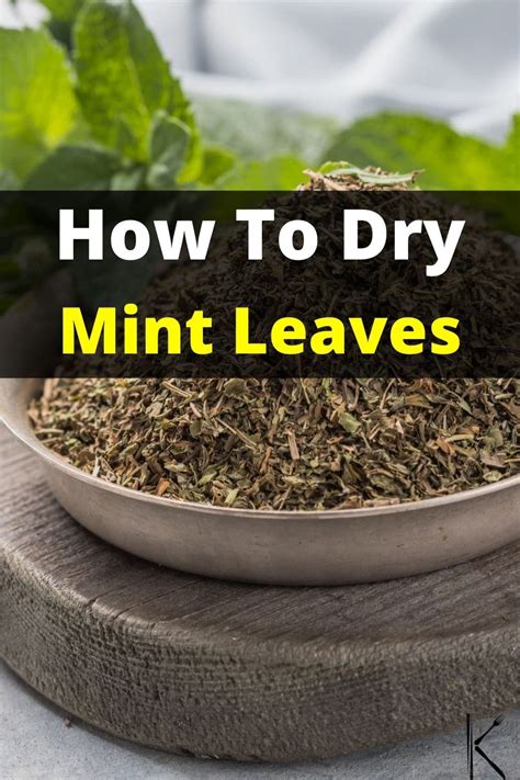 How To Dry Fresh Mint Leaves And Store Them Properly Kitchenous