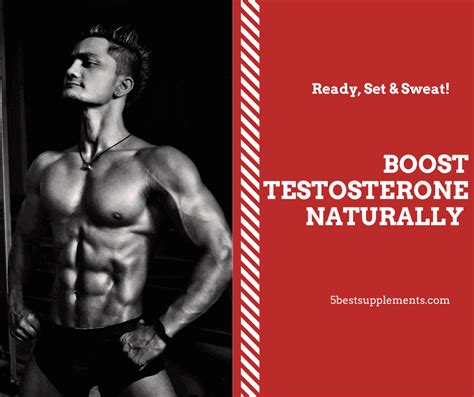 Boost Testosterone Naturally Best Supplements