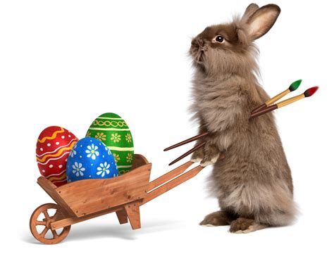 Easter Bunny Distributing Eggs In A Wheelbarrow