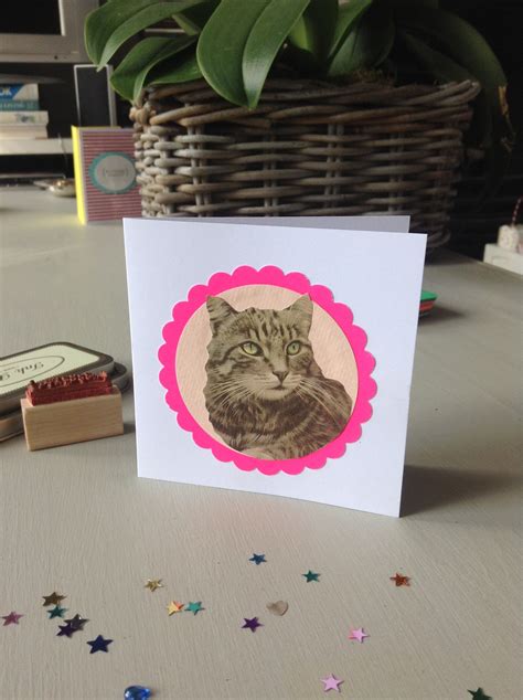 We did not find results for: Cat card | Cat cards, Card making, Cards