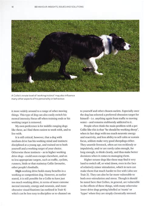 Border Collies A Breed Apart Book Three Behavior Insights Issues And