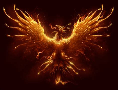 Phoenix Fire Stock Photos Pictures And Royalty Free Images Istock