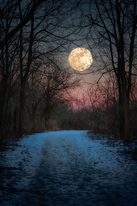 Wolf Moon Winter Path By Jim Crotty Full Wolf Moon Rising Over Snow