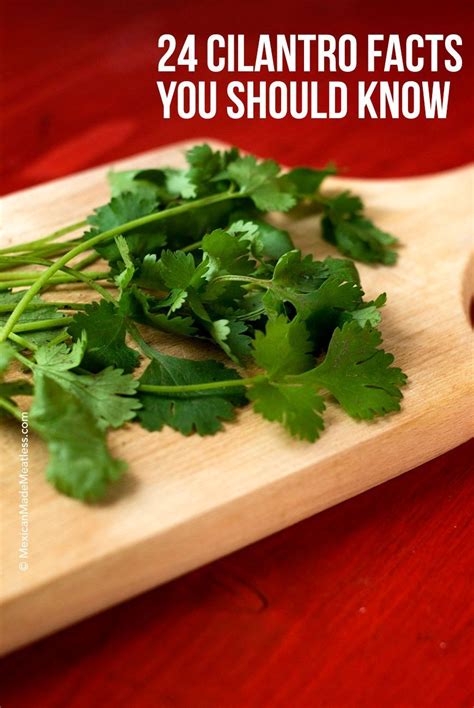Cilantro What You Need To Know Food Info Healthy Recipes Mexican