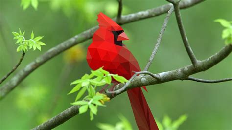Birds Cardinals Abstract Geometry Wallpapers Hd