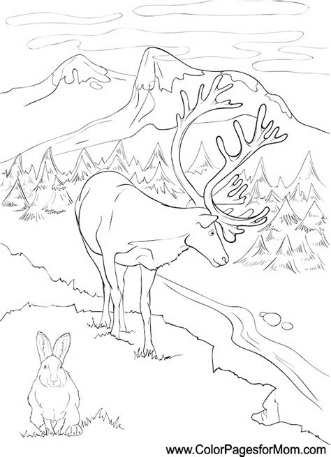 Landscape Coloring Page 14