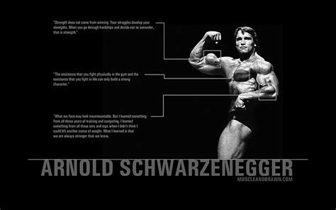 Hd Wallpaper Arnold Quotes Schwarzenegger Wallpaper Flare