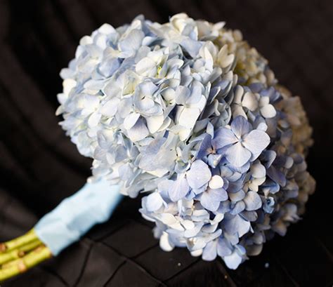 Blue Delphinium And White Hydrangea Wedding Bouquet Dream Bouquet Wedding Florist