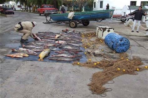 Ilusión De Pescar Pesca Furtiva Y Acopio No Habilitadomas Secuestro