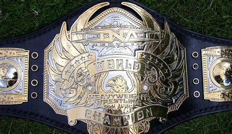 Tna World Heavyweight Championship For Extreme Wiki Fandom Powered