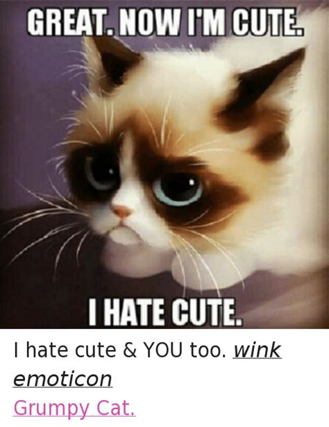 25 Best Memes About Cute And Grumpy Cat Cute And Grumpy