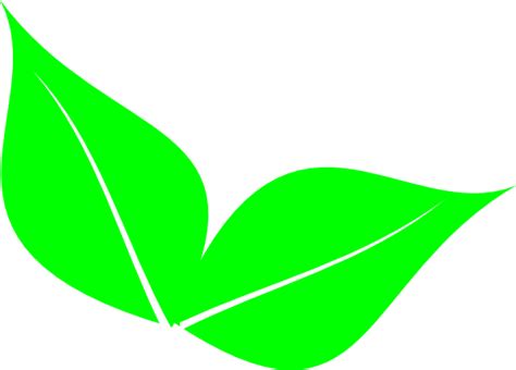 Free Leaf Clipart Png Download Free Leaf Clipart Png Png Images Free