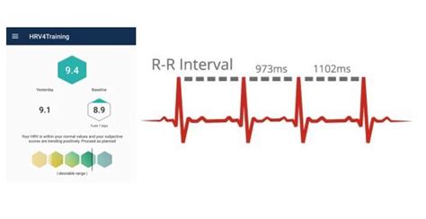 Heart Rate Variability What Is It And Why Measure Clean Fit Forever