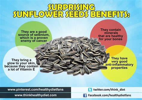Surprising Sunflower Seeds Benefits Think Healthy Diet Seeds