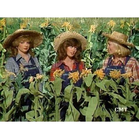 The Hee Haw Girls Hee Haw Hee Haw Show Old Tv Shows