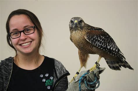 Learning A Little Bit More About Our Areas Birds Of Prey News