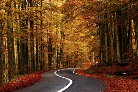 Winding Road In Autumn No Location Given By Ana Pana Cr🍂 Road