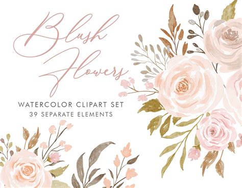 Blush Flowers Watercolor Flowers Clipart Commercial Use Etsy