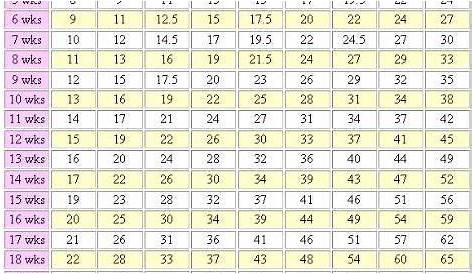 yorkie birth weight chart