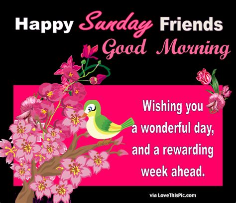 Happy Sunday Friends Good Morning Pictures Photos And