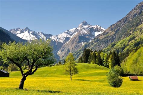 Trettachtal Im Frühling Oberstdorf Allgäuer Alpen Reisen Deutschland