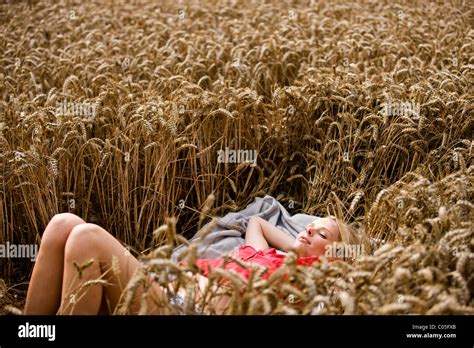 A Woman Lying In A Wheatfield In Summertime Stock Photo Alamy