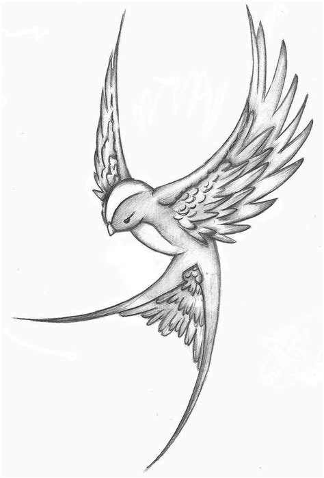 Https://techalive.net/draw/how To Draw A Bird Tattoo