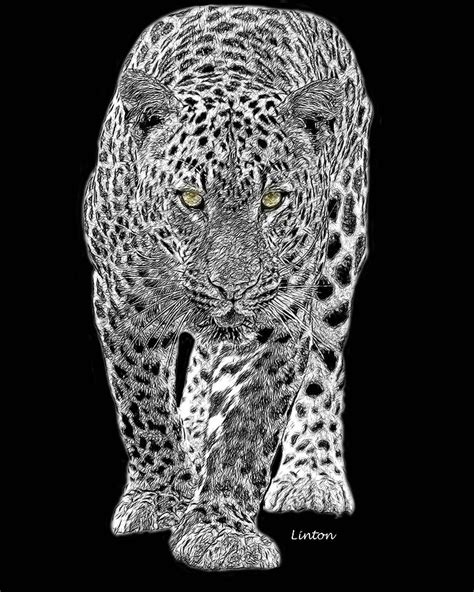 Jungle Cat 2 Digital Art By Larry Linton Pixels