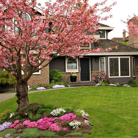 10 Clever Tips For Landscaping Around Trees Trees For Front Yard