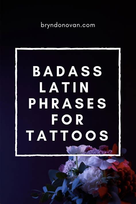 Read on about their characteristics, meaning and pop culture influence, plus examples. Badass Latin Phrases For Tattoos! | Latin phrase tattoos ...
