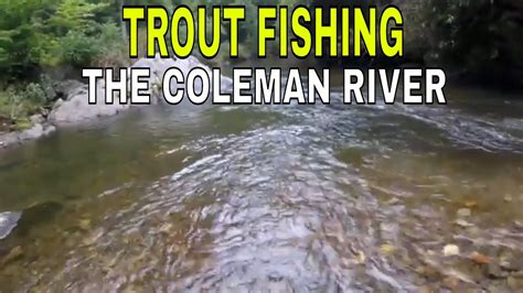 FISHING THE COLEMAN RIVER PLUS TIPS| PART 2 - YouTube