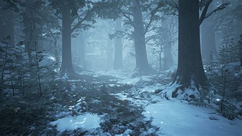 Free Photo Winter Forest Year Snowy Ray Free
