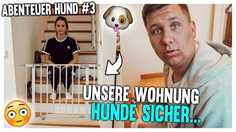 7 wege für mehr schutz. RIESEN FAIL 😳 Wohnung Hunde sicher machen...🐶😍 Abenteuer ...