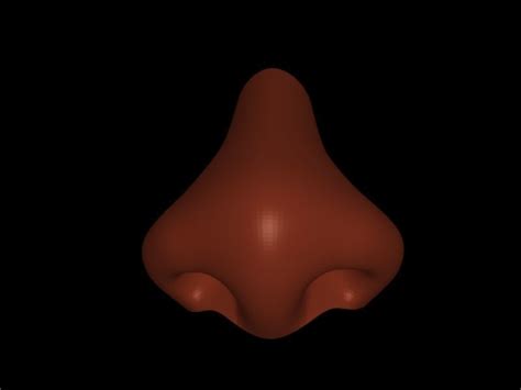 Human Nose 3d Printable Model Cgtrader