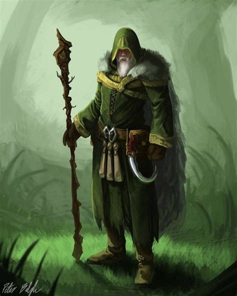 Druid Concept By Peterprime On Da Dark Fantasy Heroic Fantasy Fantasy