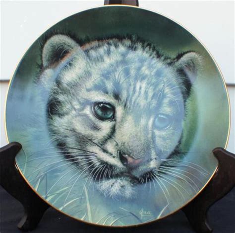 1991 princeton gallery curbs of big cats plate collection snow leopard cub plate ebay