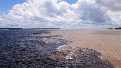 What Causes Brazils Bizarre Meeting Of The Waters Iflscience