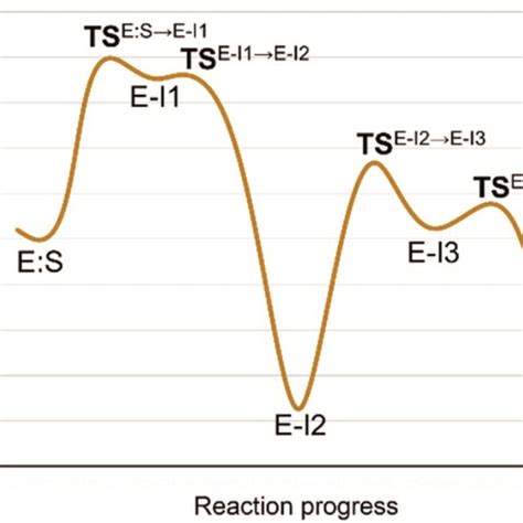 M06 2X AM1 MM Free Energy Profile Of The Proteolysis Reaction Catalyzed