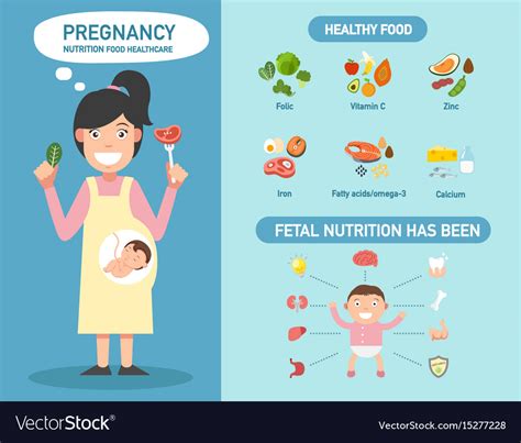 pregnancy nutrition food healthcare infographics vector image