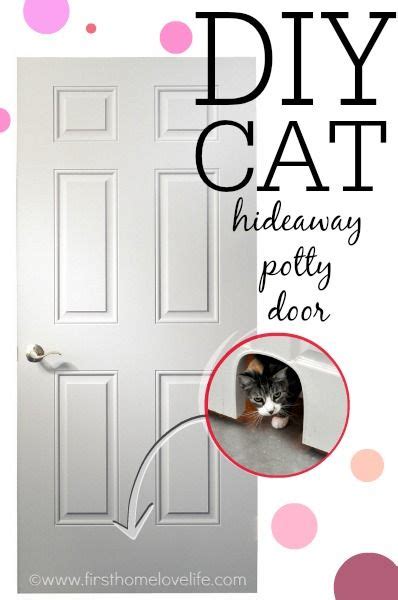If you wanted to install this cat door in an exterior door the steps will still be the same but with a few one being that you want to make sure you buy a cat door that is made for an exterior door install. DIY Cat Potty Door | Diy door, Pet door, Litter box