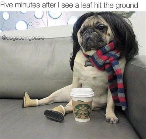 30 Fall Memes For The Autumn Obsessed Funny Fall Memes