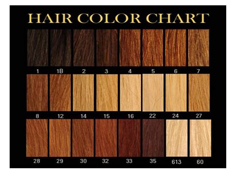 Hair Color Chart B