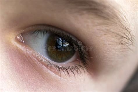 Close Up Macro Of Child Boy Eye Stock Image Image Of Health Look